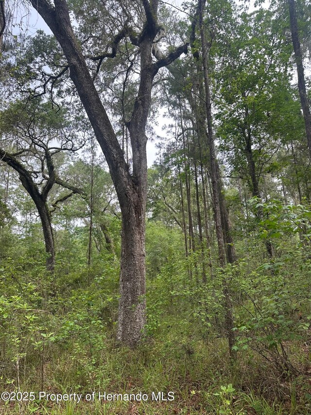 0 Emerson Rd, Brooksville, FL 34601 - photo 12