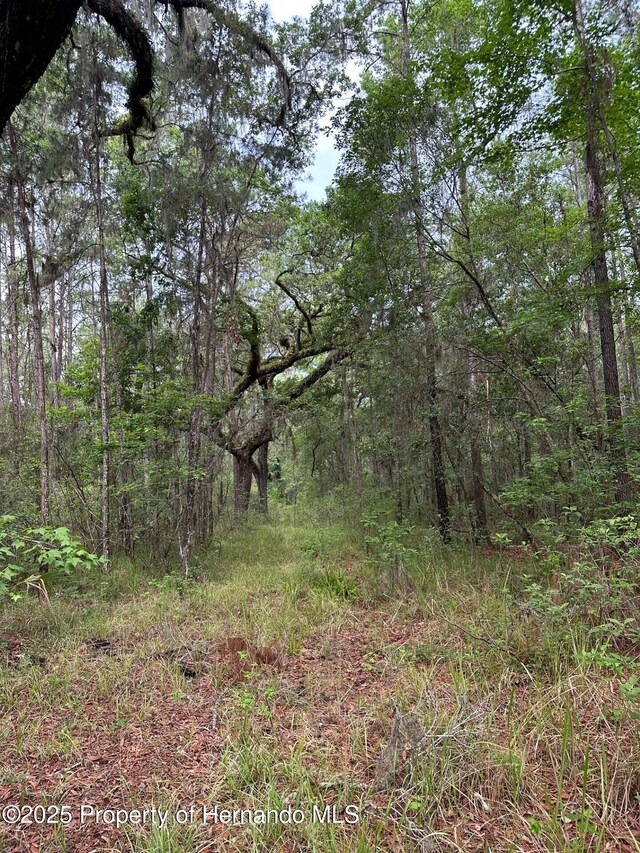 0 Emerson Rd, Brooksville, FL 34601 - photo 13
