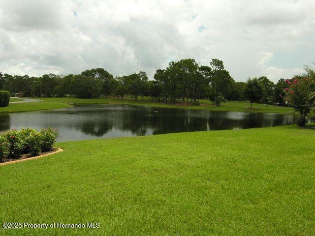 8420 Maybelle Dr, Weeki Wachee, FL 34613 - photo 67