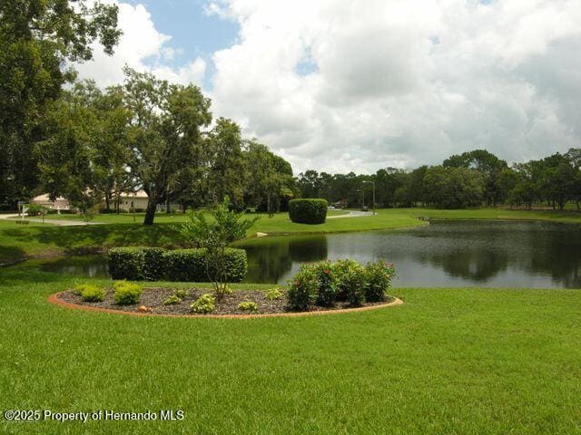 8420 Maybelle Dr, Weeki Wachee, FL 34613 - photo 66