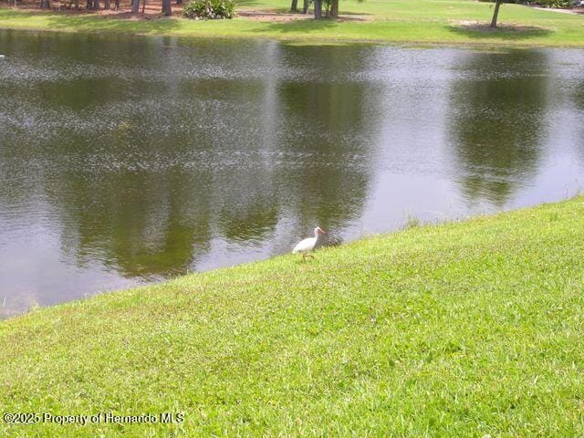 8420 Maybelle Dr, Weeki Wachee, FL 34613 - photo 64