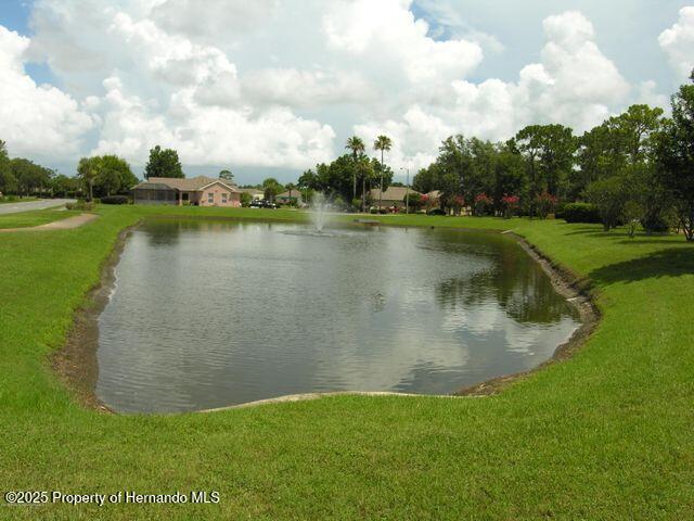 8420 Maybelle Dr, Weeki Wachee, FL 34613 - photo 68