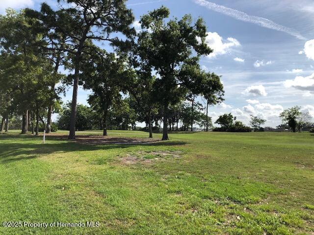 8420 Maybelle Dr, Weeki Wachee, FL 34613 - photo 70