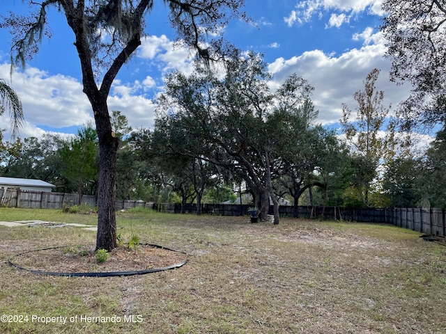 10448 Canary Ave, Weeki Wachee, FL 34613 - view of yard featuring fence