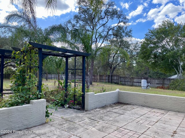 10448 Canary Ave, Weeki Wachee, FL 34613 - view of patio
