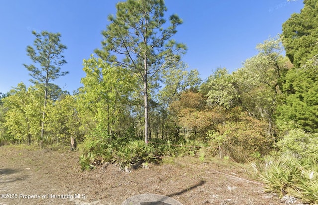 0 Retriever Rd, Weeki Wachee, FL 34614