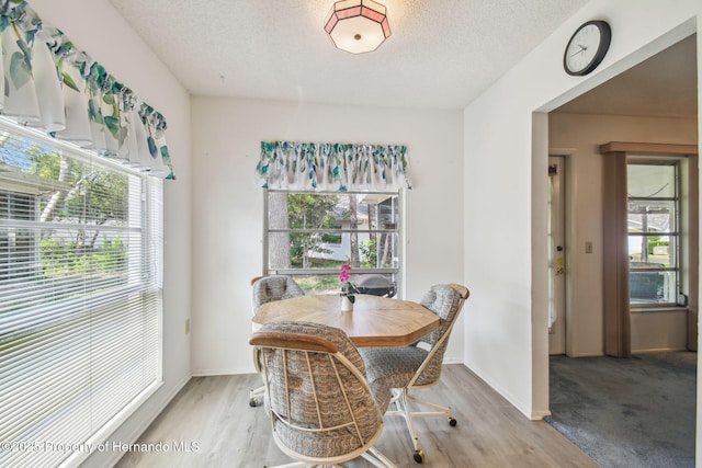 2183 Westchester Blvd, Spring Hill, FL 34606 - dining room featuring healthy amount of natural light, a textured ceiling, and light wood-style floors