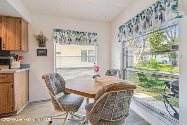 2183 Westchester Blvd, Spring Hill, FL 34606 - dining space with light wood-style floors, plenty of natural light, a textured ceiling, and baseboards
