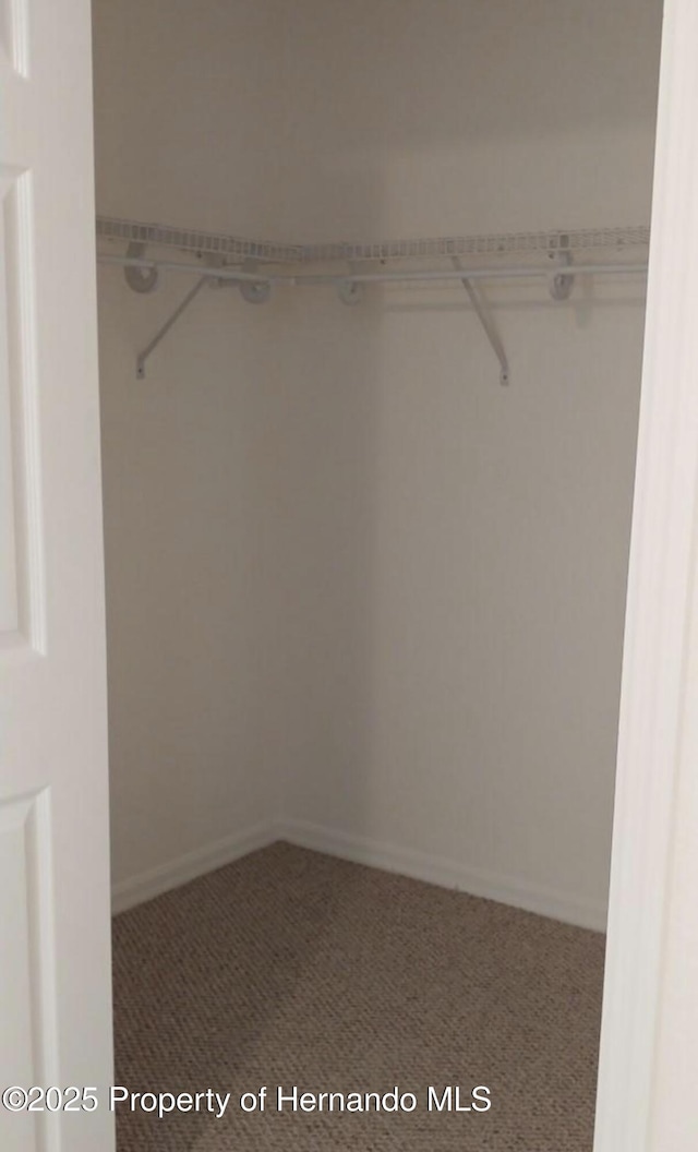 4035 Jason Rd, Spring Hill, FL 34608 - spacious closet featuring carpet floors