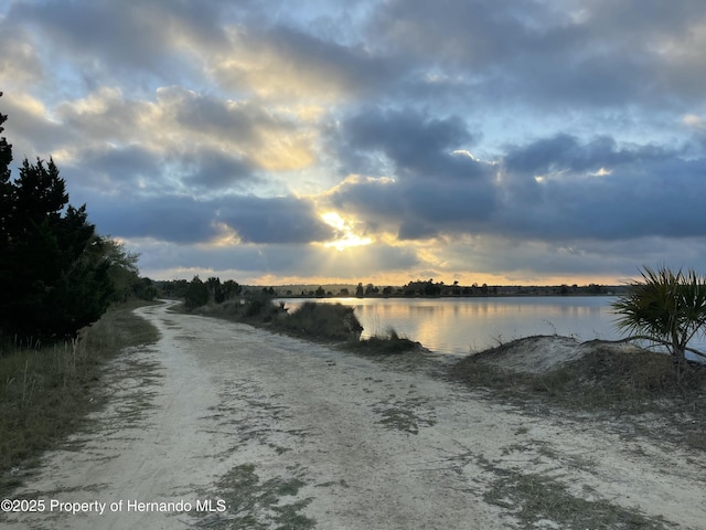 LOT41 Sea Grape Dr, Hernando Beach, FL 34607