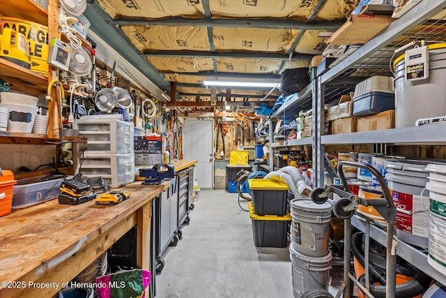 4387 6th Isle Dr, Hernando Beach, FL 34607 - view of storage area