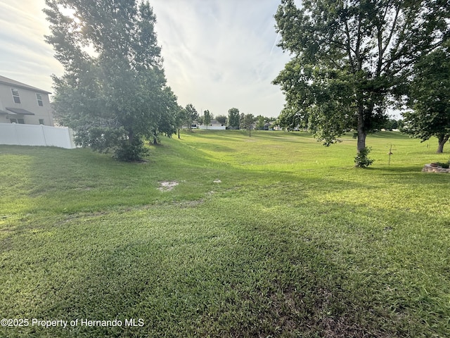 9238 Southern Charm Cir, Brooksville, FL 34613 - view of yard