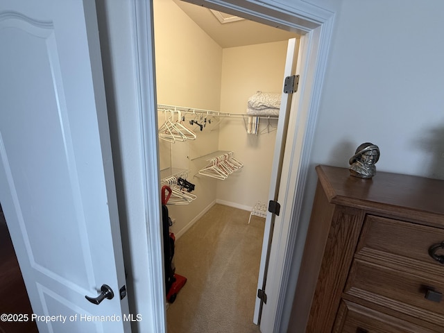 9238 Southern Charm Cir, Brooksville, FL 34613 - walk in closet featuring carpet floors