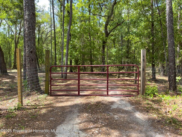 18308 Valor Path, Brooksville, FL 34604 - photo 18