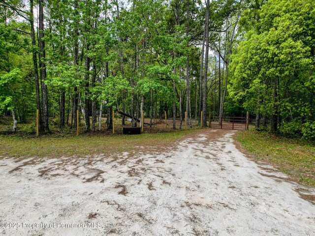 18308 Valor Path, Brooksville, FL 34604 - photo 19