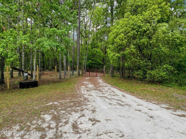 18308 Valor Path, Brooksville, FL 34604 - photo 20
