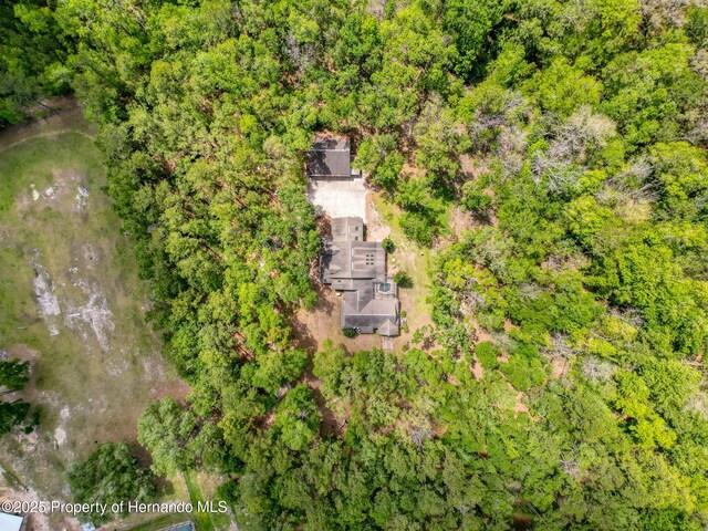 18308 Valor Path, Brooksville, FL 34604 - photo 28