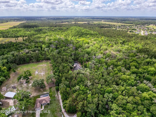 18308 Valor Path, Brooksville, FL 34604 - photo 30