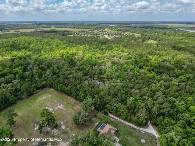 18308 Valor Path, Brooksville, FL 34604 - photo 31