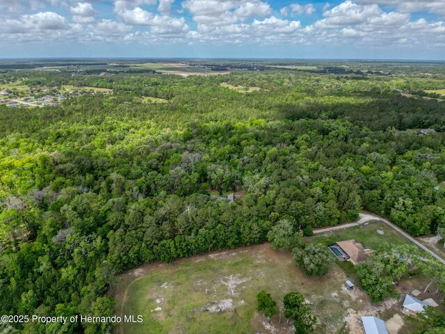 18308 Valor Path, Brooksville, FL 34604 - photo 32