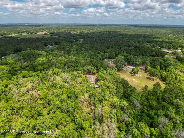 18308 Valor Path, Brooksville, FL 34604 - photo 33
