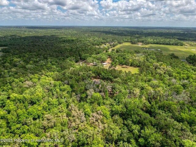 18308 Valor Path, Brooksville, FL 34604 - photo 34