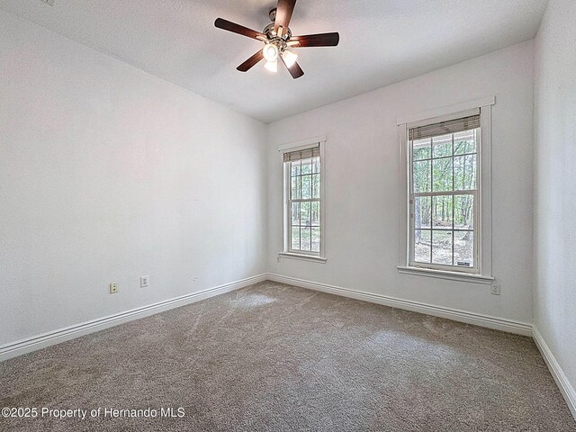18308 Valor Path, Brooksville, FL 34604 - photo 60