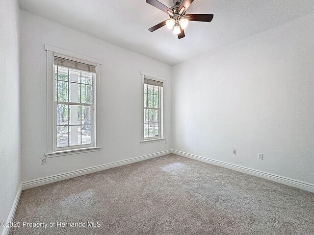 18308 Valor Path, Brooksville, FL 34604 - photo 62