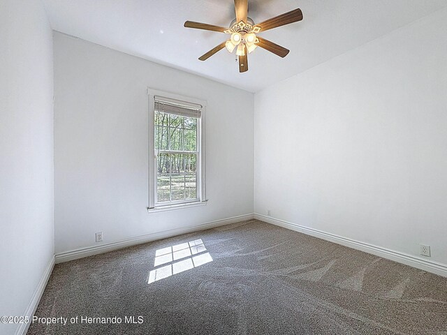 18308 Valor Path, Brooksville, FL 34604 - photo 79