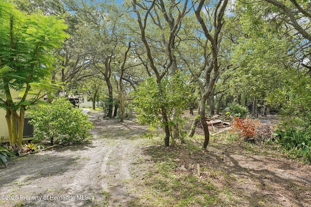 18633 Oak Way Dr, Hudson, FL 34667 - view of yard
