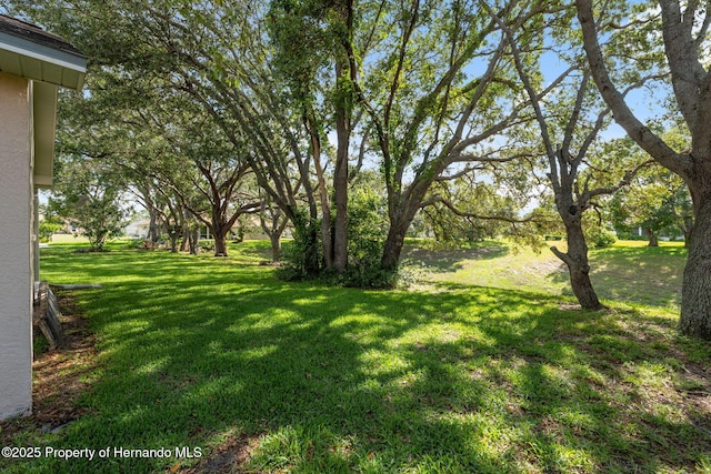 10296 Palmgren Ln, Spring Hill, FL 34608 - view of green lawn