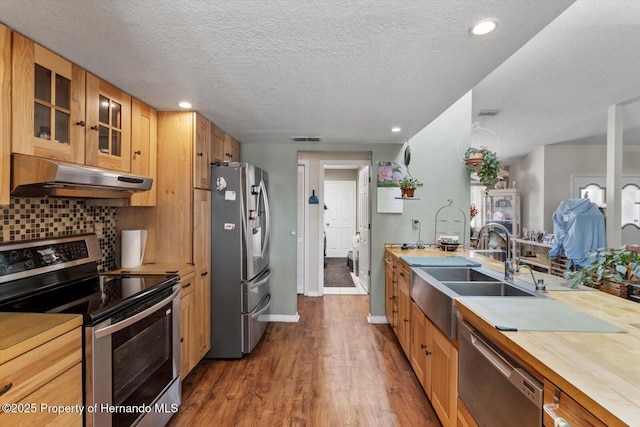 10267 Elgin Blvd, Spring Hill, FL 34608 - kitchen featuring appliances with stainless steel finishes, under cabinet range hood, light countertops, a sink, and glass insert cabinets
