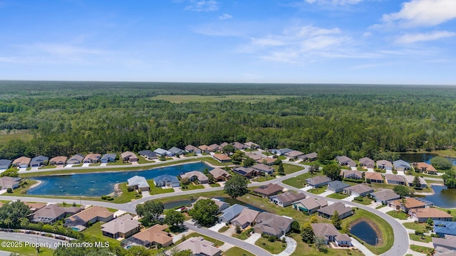 9407 Burnam Dr, Weeki Wachee, FL 34613 - aerial view of property's location featuring a heavily wooded area and a large body of water