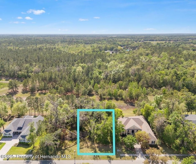 6055 Summit View Dr, Brooksville, FL 34601
