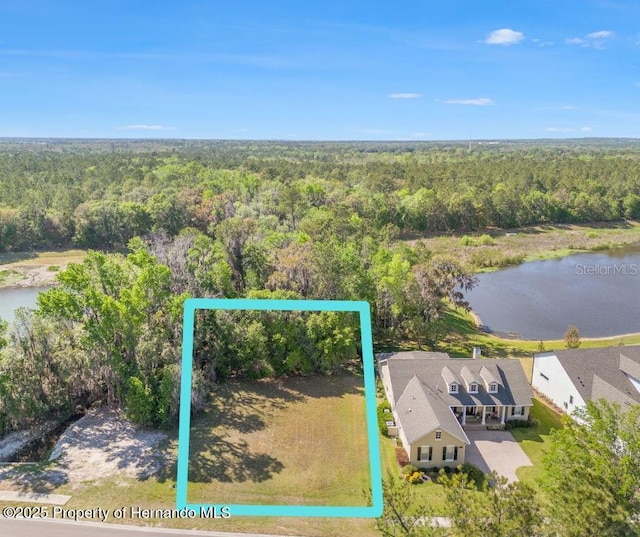5545 Summit View Dr, Brooksville, FL 34601 - photo 1