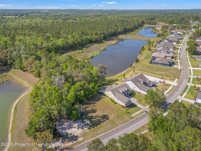 5545 Summit View Dr, Brooksville, FL 34601 - photo 2