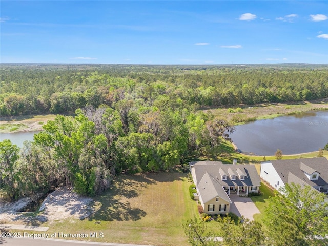 5545 Summit View Dr, Brooksville, FL 34601 - photo 3