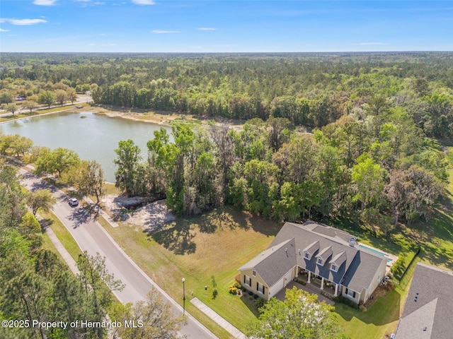 5545 Summit View Dr, Brooksville, FL 34601 - photo 4