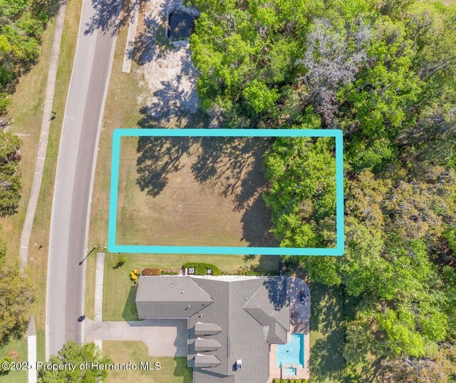 5545 Summit View Dr, Brooksville, FL 34601 - photo 5