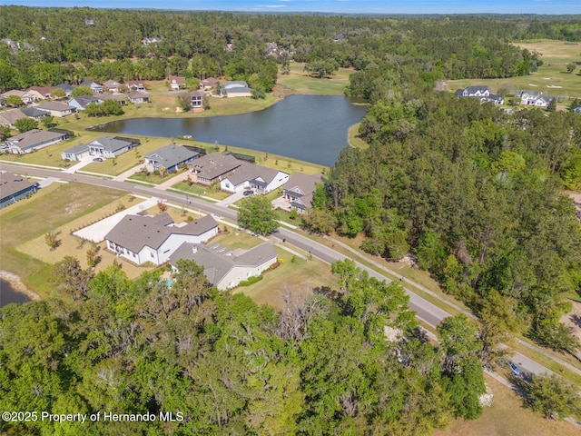 5545 Summit View Dr, Brooksville, FL 34601 - photo 8