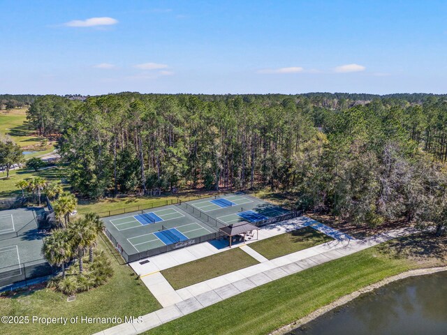 5545 Summit View Dr, Brooksville, FL 34601 - photo 12