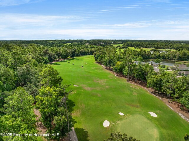 5545 Summit View Dr, Brooksville, FL 34601 - photo 15