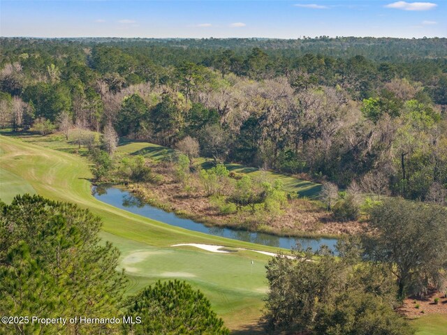 3897 Southern Valley Loop, Brooksville, FL 34601