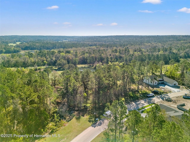 3897 Southern Valley Loop, Brooksville, FL 34601