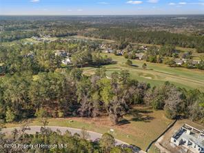 5963 Creek Ridge Rd, Brooksville, FL 34601 - photo 7