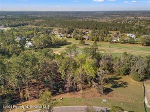 5963 Creek Ridge Rd, Brooksville, FL 34601 - photo 8
