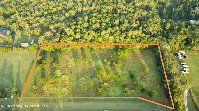 0000 Prosperity Ln, Brooksville, FL 34604 - photo 1