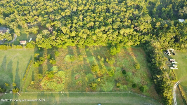 0000 Prosperity Ln, Brooksville, FL 34604 - photo 2