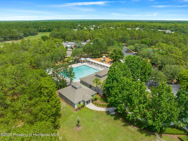 13454 Golden Lime Ave, Spring Hill, FL 34609 - bird's eye view of a forest and a pool