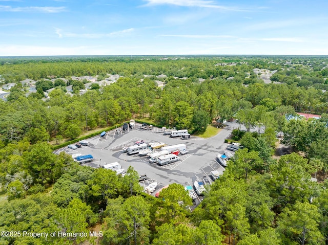 13454 Golden Lime Ave, Spring Hill, FL 34609 - aerial view of a heavily wooded area